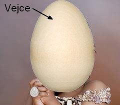 vce.jpg vce.jpg
