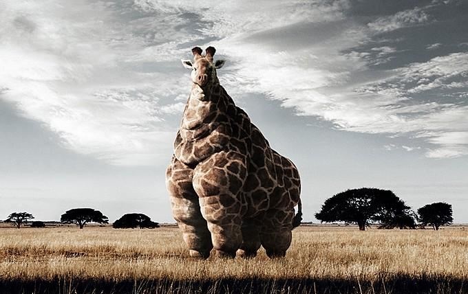 Faty.JPG Faty.JPG