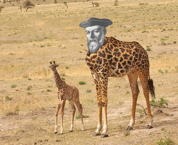 nogirastrasmall.png nogirastrasmall.png