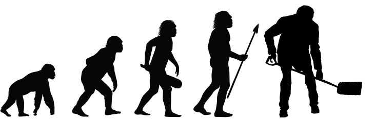 evolution.jpg evolution.jpg