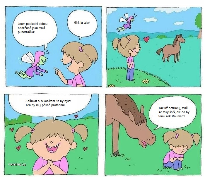 konik.jpg konik.jpg