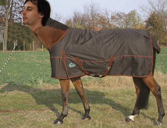 kentaur-mudrlant.png kentaur-mudrlant.png