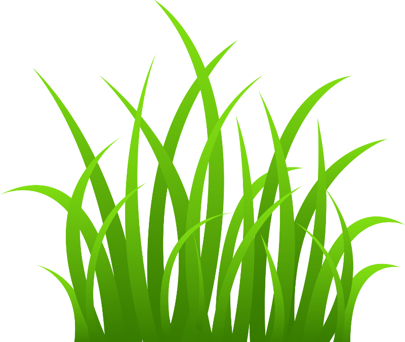 grass_strands.jpg grass_strands.jpg