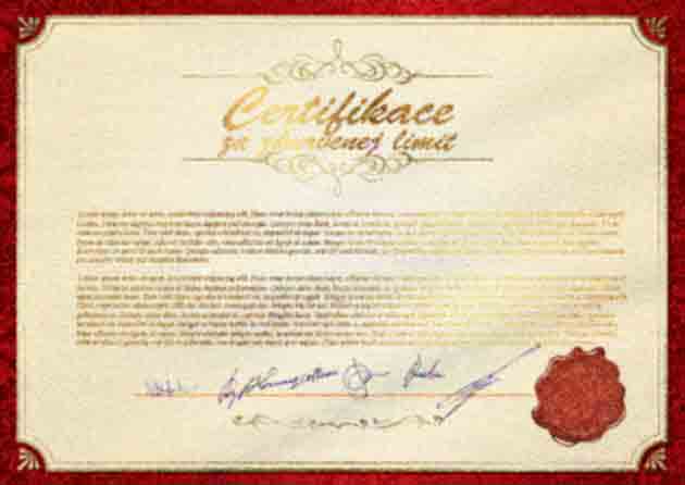 certifikat-upload-i3.jpg certifikat-upload-i3.jpg
