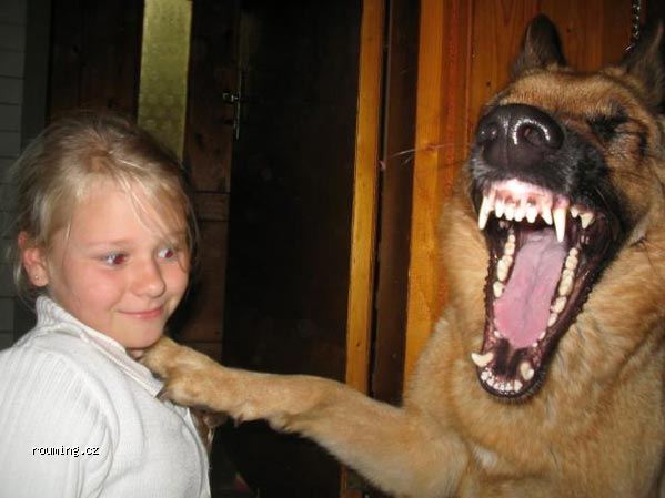 LOL_girl.jpg LOL_girl.jpg