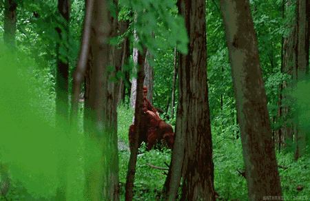 Bir-faker-0.gif Bir-faker-0.gif
