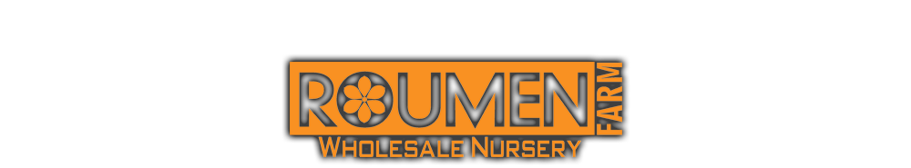 logo.png logo.png