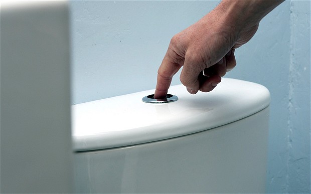 loo-flush_2717563b.jpg loo-flush_2717563b.jpg