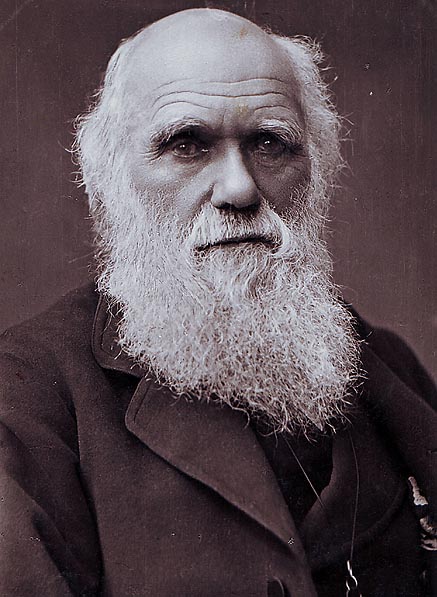 Charles_Darwin_photograph_by_Herbert_Rose_Barraud_1881.jpg