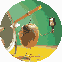 rouming_kiwi2.png rouming_kiwi2.png
