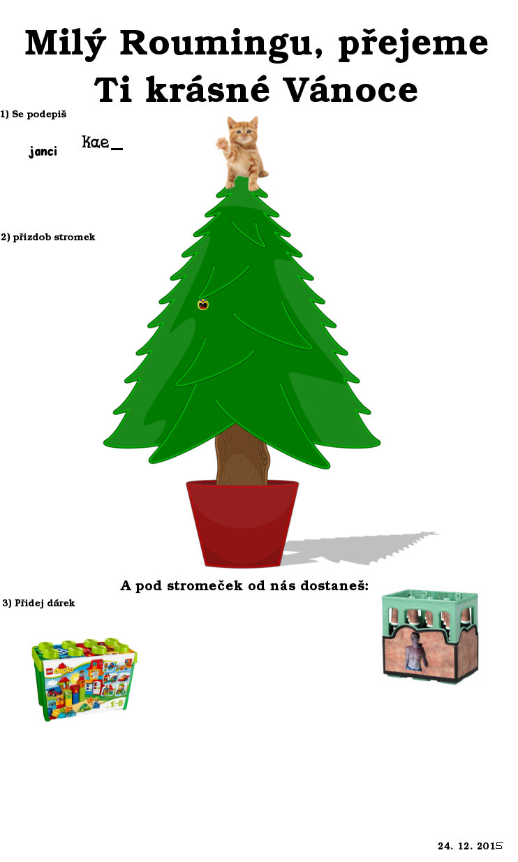 roumingxmas.jpg roumingxmas.jpg