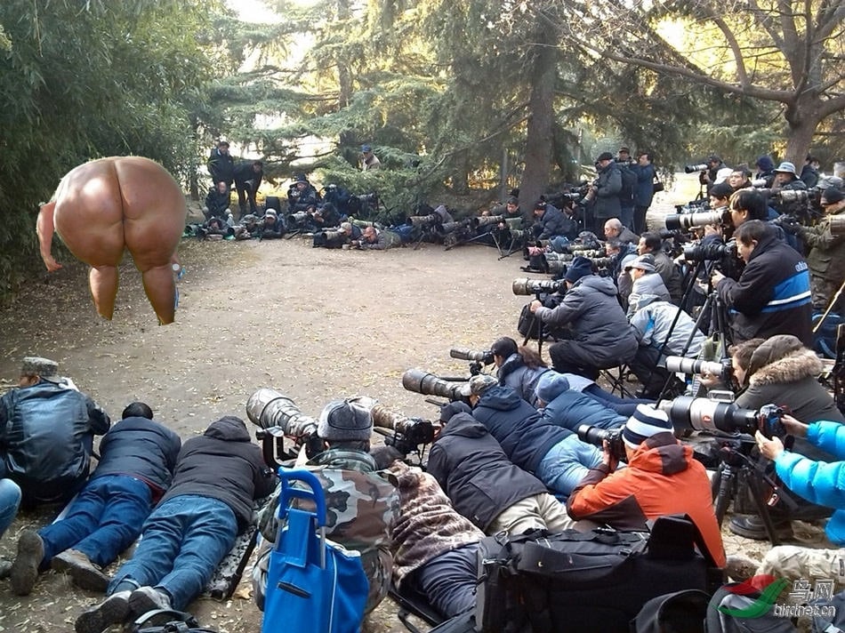 Bez_nazvu-1-min.jpg