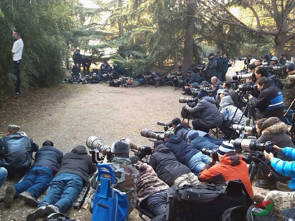co_tam_je_proboha.jpg co_tam_je_proboha.jpg