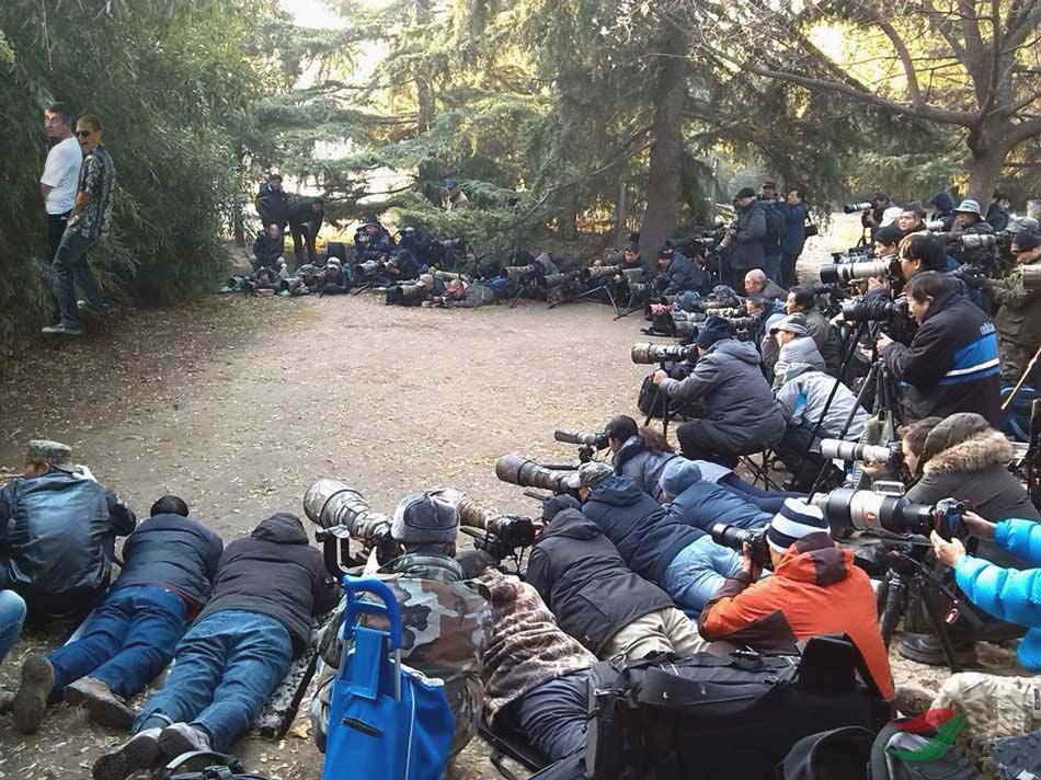 18302co_tam_je_proboha_deex.jpg 18302co_tam_je_proboha_deex.jpg