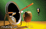 male-kiwi.png male-kiwi.png