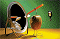 19152male-kiwi.png 19152male-kiwi.png