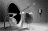 19171nejvic_nejmensi_kiwi.gif 19171nejvic_nejmensi_kiwi.gif