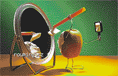19212kiwi_upravene_barvy.png 19212kiwi_upravene_barvy.png