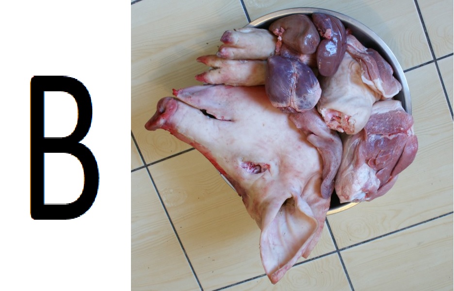 casopis2.jpg casopis2.jpg