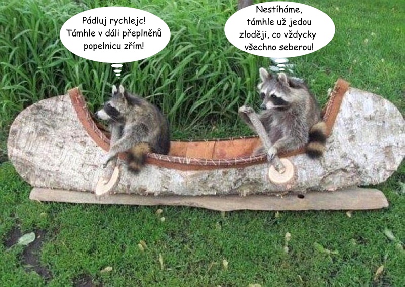 trashpandas.jpg trashpandas.jpg