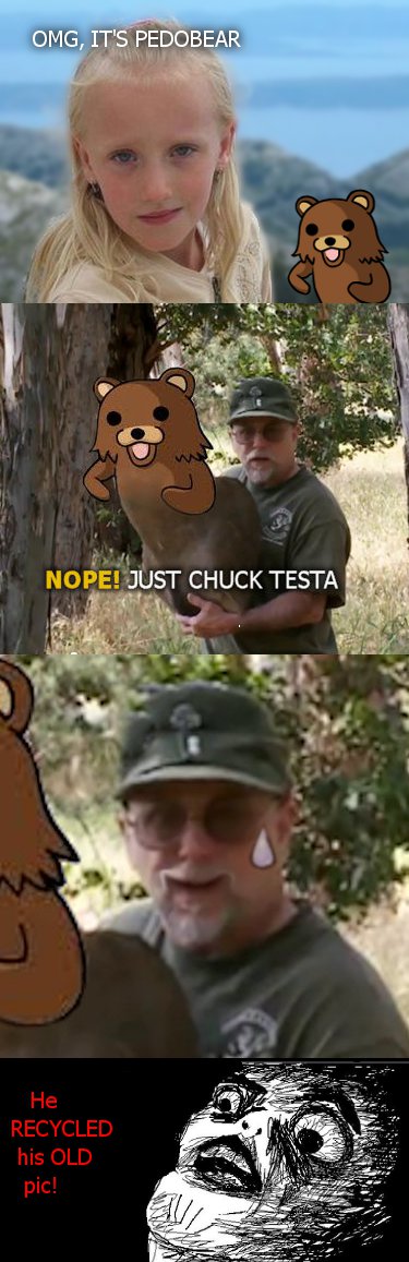 anicka_pedobear_testa_recycled.jpg