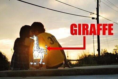 3854Giraffe.jpg 3854Giraffe.jpg