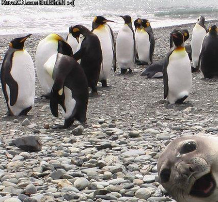 hi_there.jpg hi_there.jpg