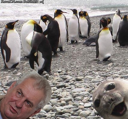 zeman.jpg zeman.jpg