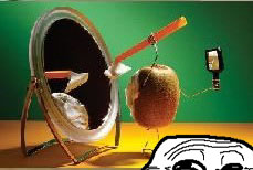 hey_kiwi.JPG