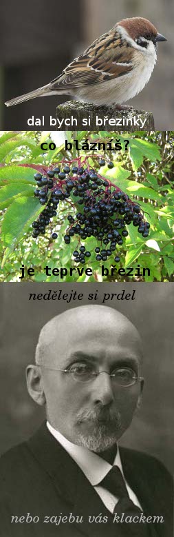 brezina.jpg brezina.jpg