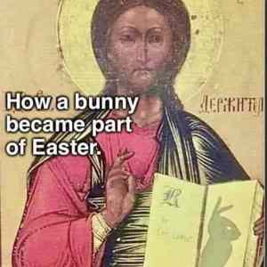 Bunnyy