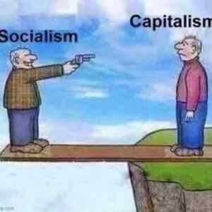 Socialist suicide