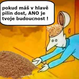 budoucnost ano