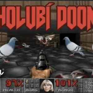 holubi doom