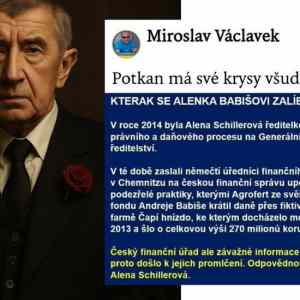 hornouhersky potkan a jeho krysa