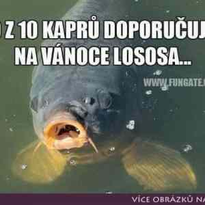 kapri doporucuji