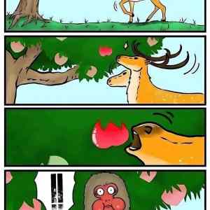 knuberal na strome