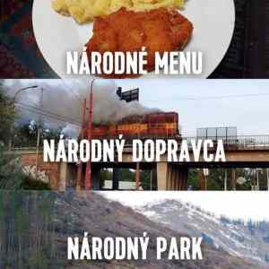 narodna slopakija