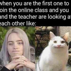 online&nbsp;first