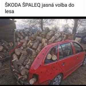 skoda spaleq