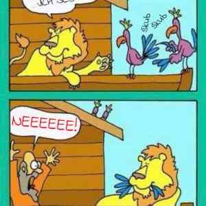 srandicky&nbsp;na&nbsp;lodi