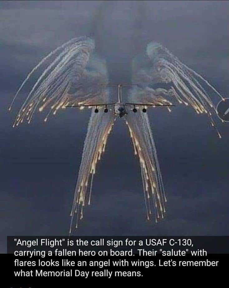 Obrázek Angel Flight