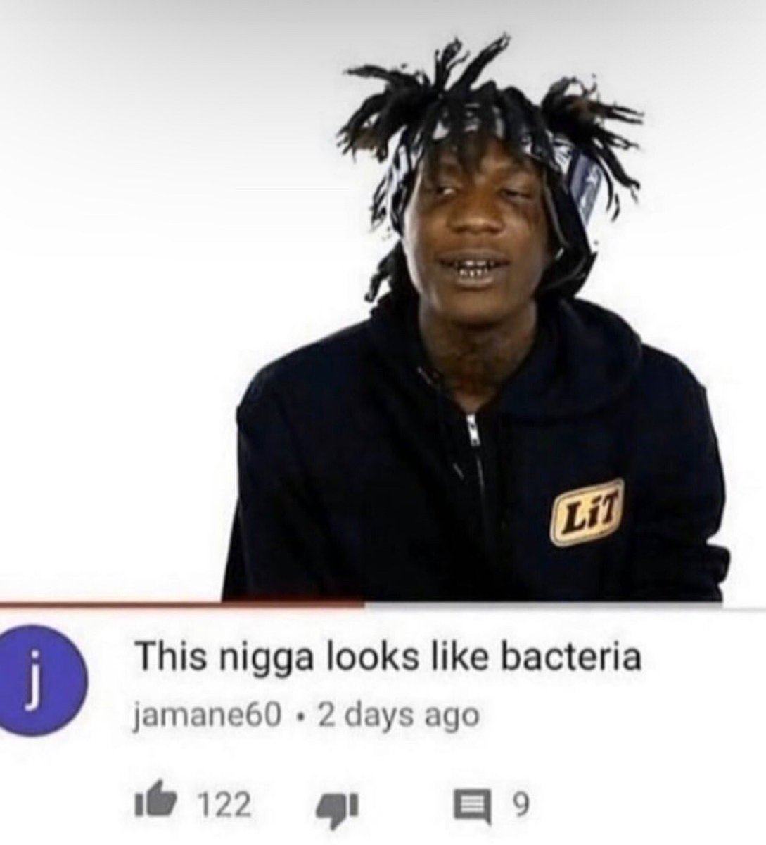 Obrázek Bacteria negra 2025