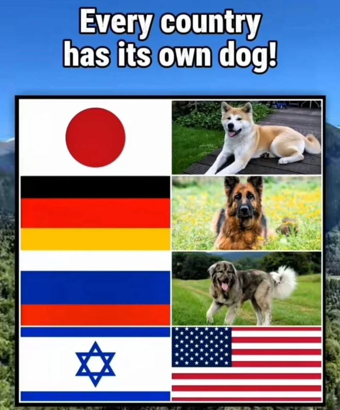 Obrázek Jude&nbsp;dogo