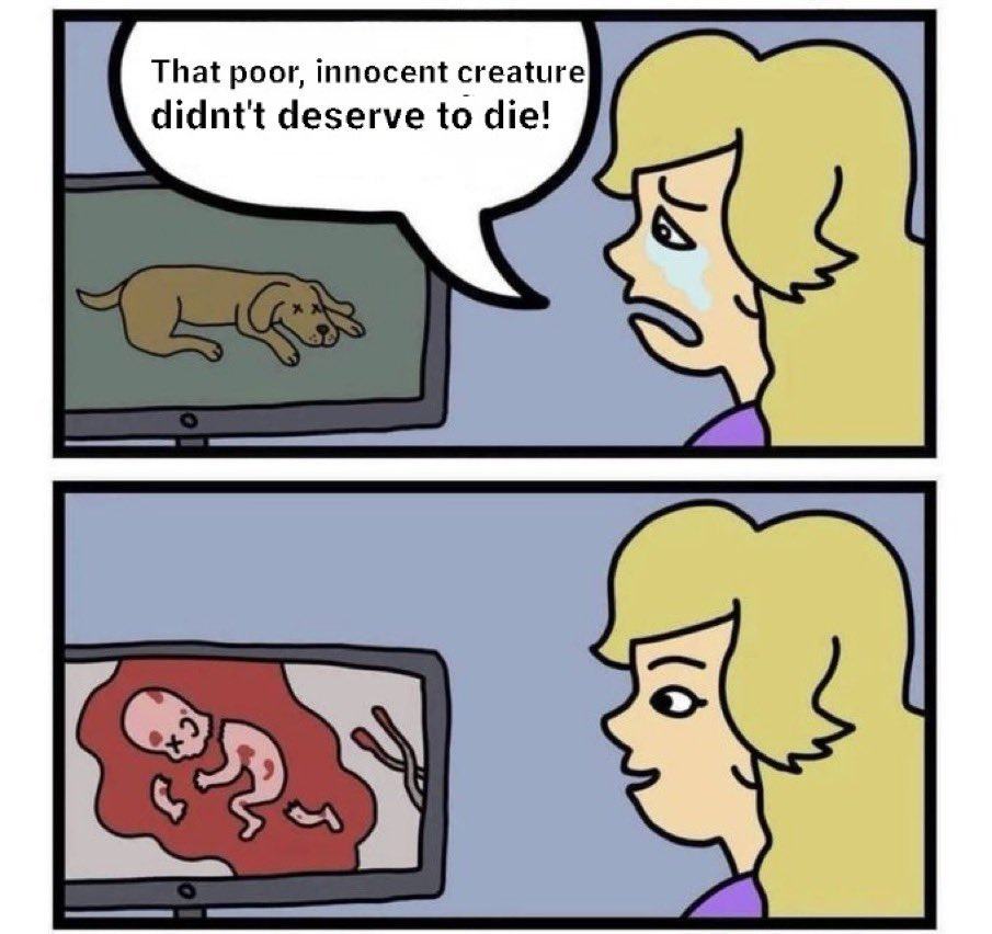 Obrázek Libtardi kreteni dnes