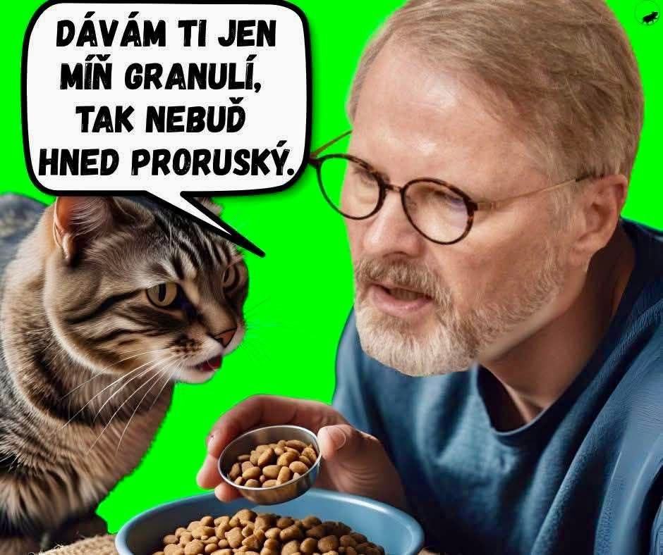 Obrázek Logika libtarda