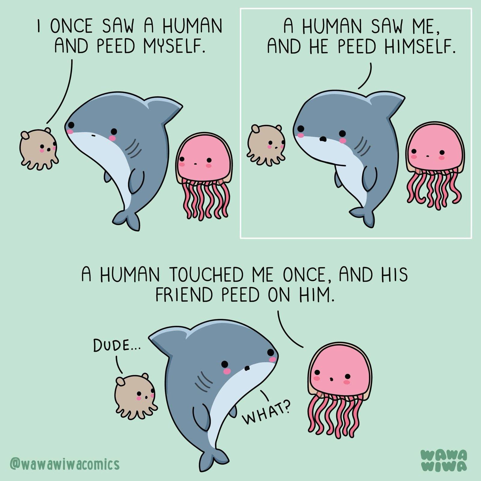 Obrázek MRGA1138-weirdo