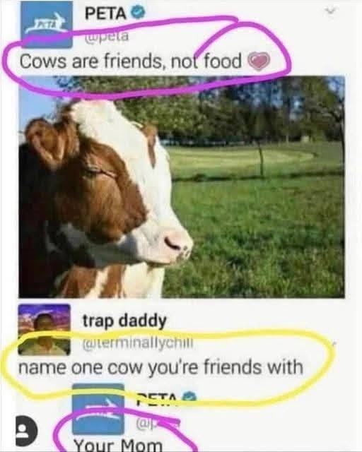 Obrázek MRGA1198-PETA