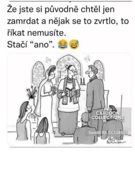 Obrázek MRGA1319-prosteAno