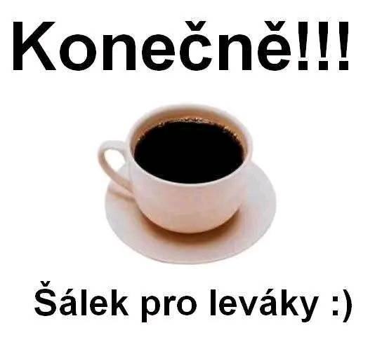 Obrázek MRGA1368-salek